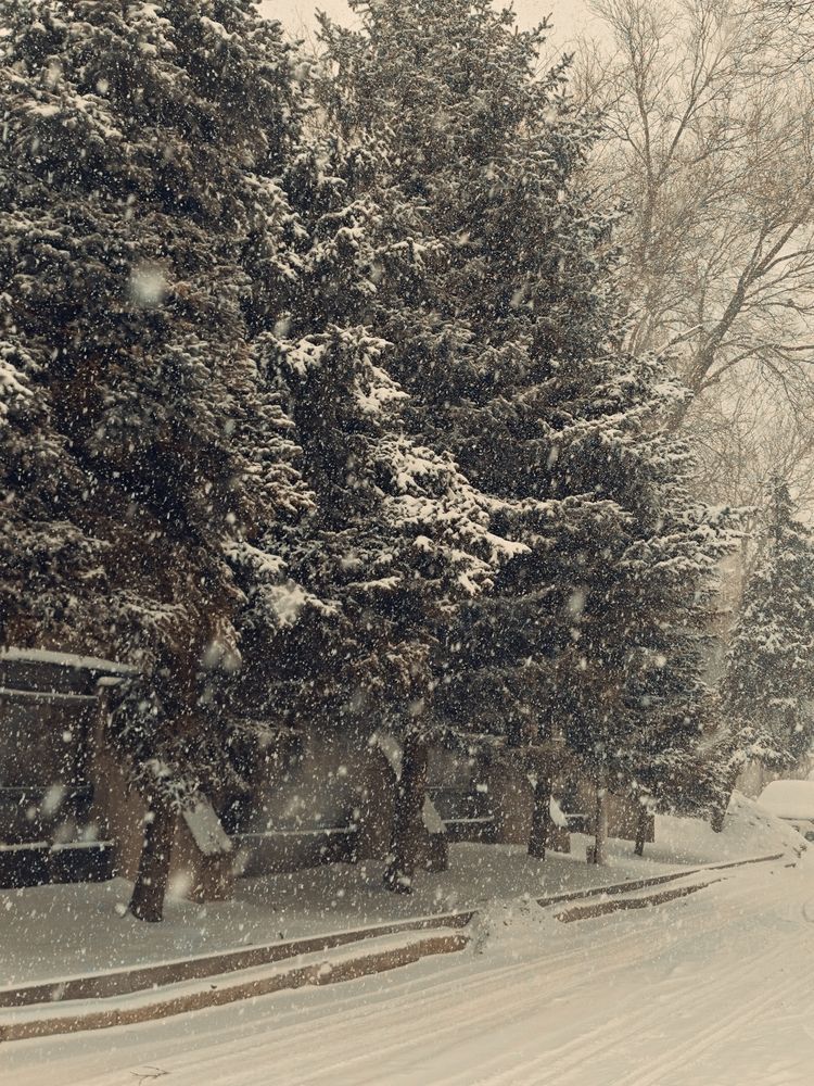 Photograph by Ирина Землячева