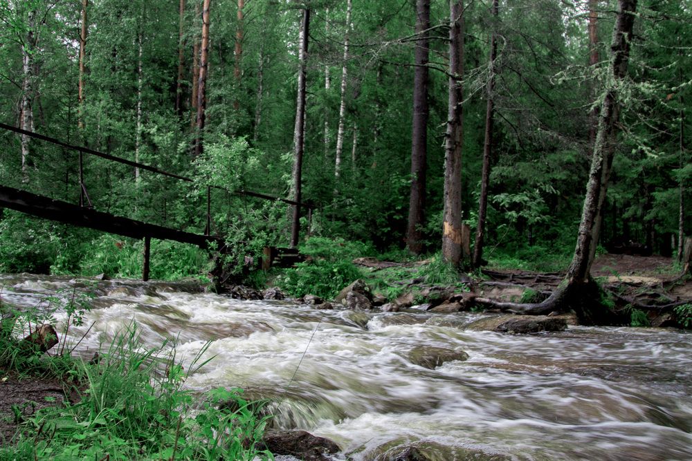 Photograph by Ольга Слотвинская