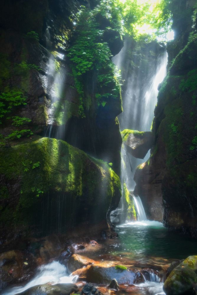 Photograph by Gunma No UMA