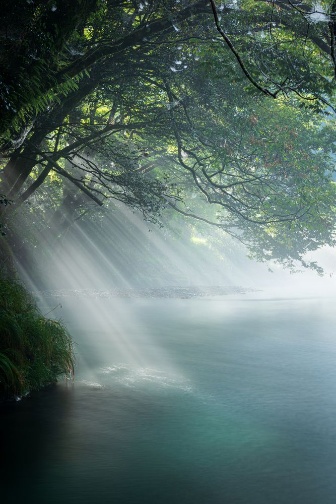 Photograph by Gunma No UMA