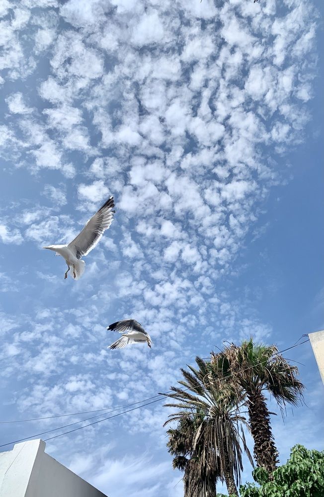 Photograph by Bouaidi Sylvie