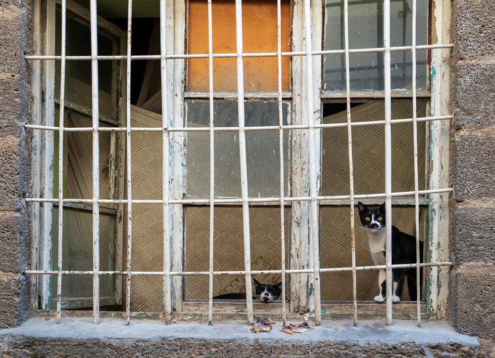 The Watchers of the Old Window