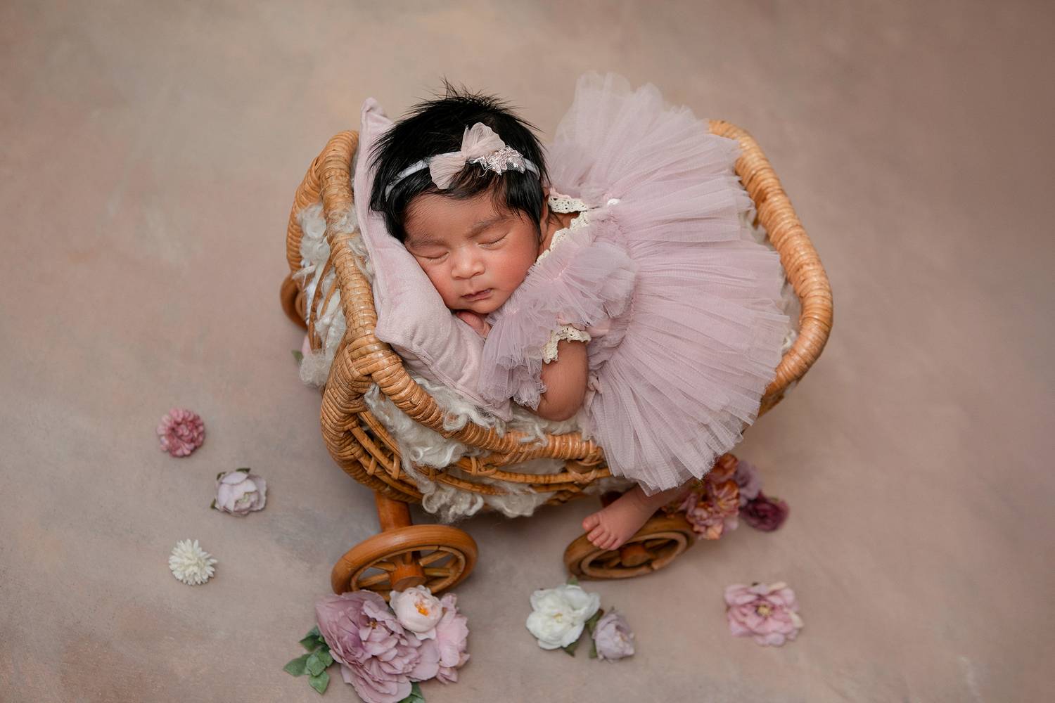 Фотография #13346693