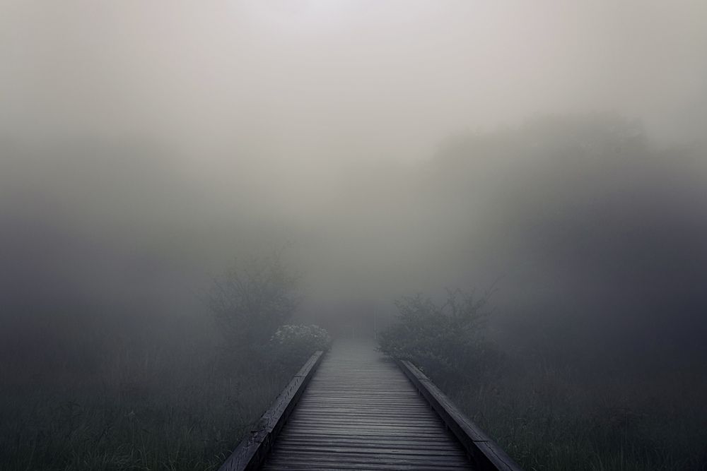 Photograph by Iwamoto Reina
