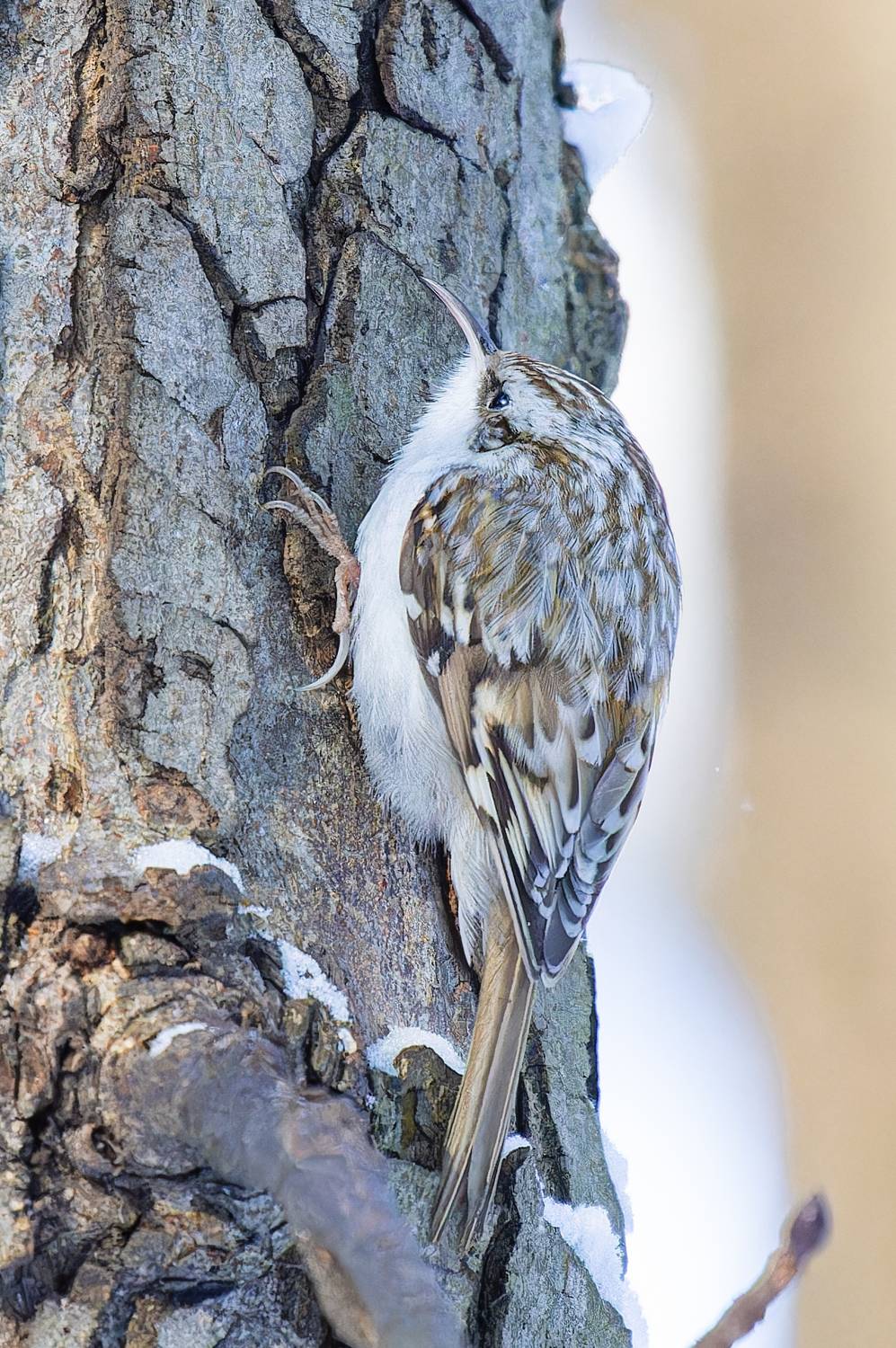 Фотография #13346749