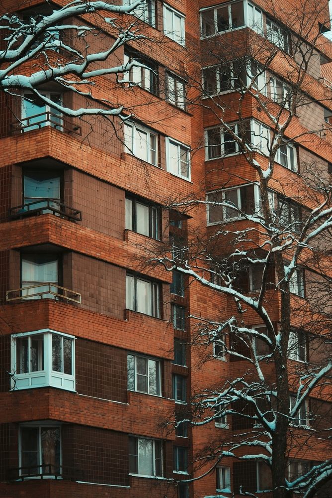 Фотография автора Светлана Дорофеева