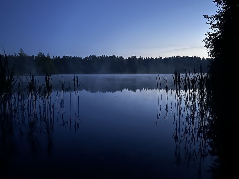 Photograph by наталья ионова