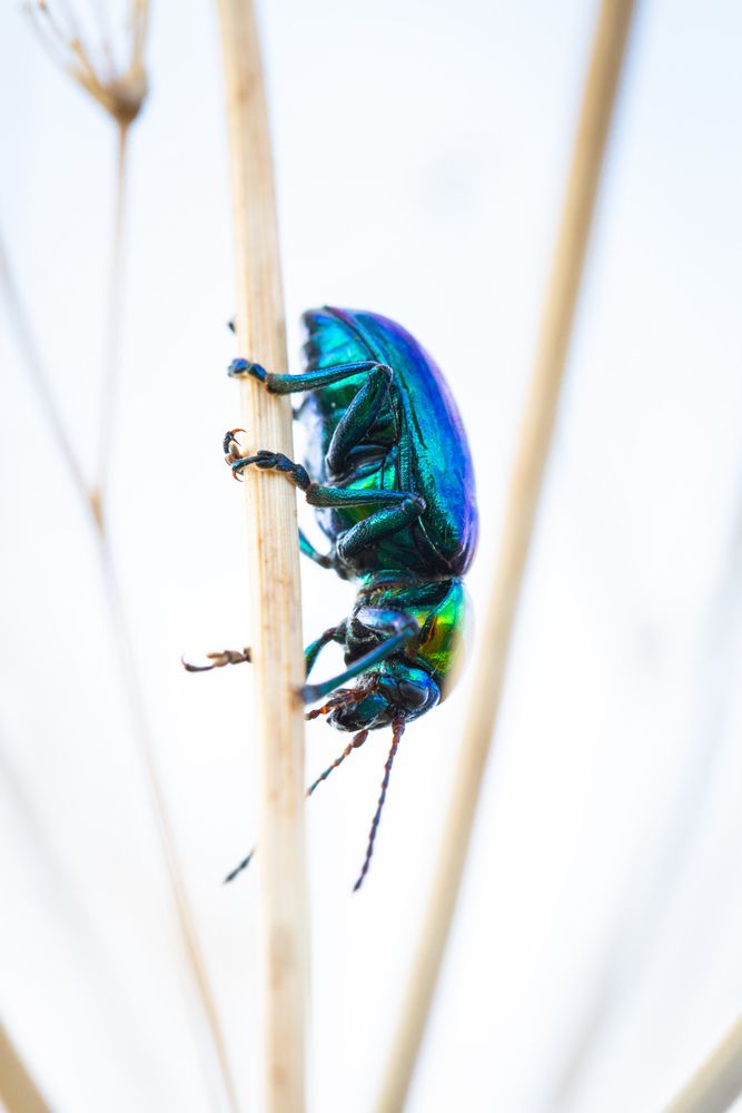 Photograph by Алексей Шматков