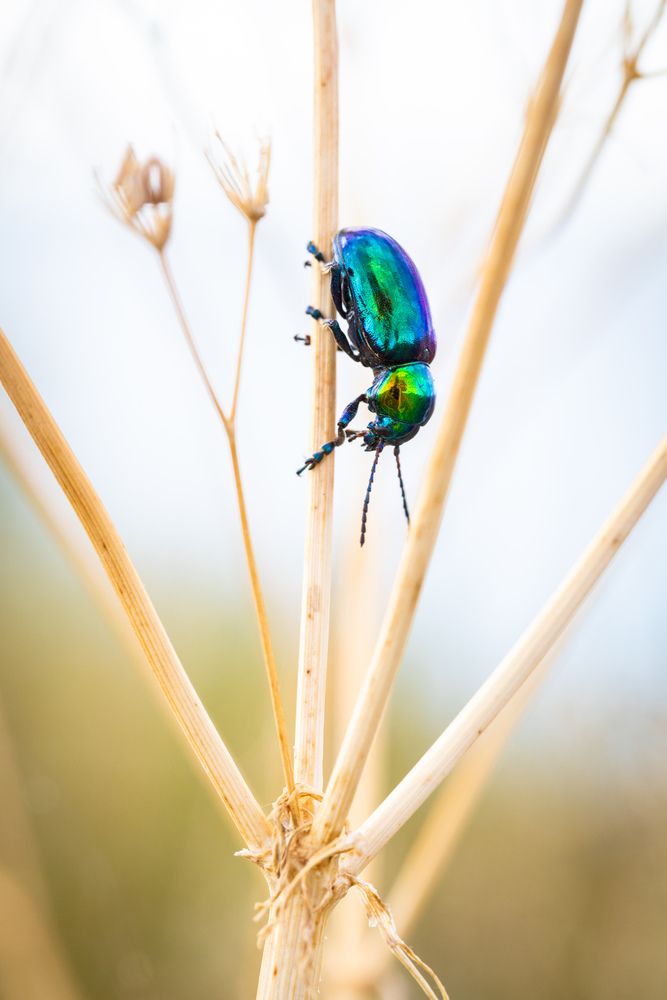 Photograph by Алексей Шматков