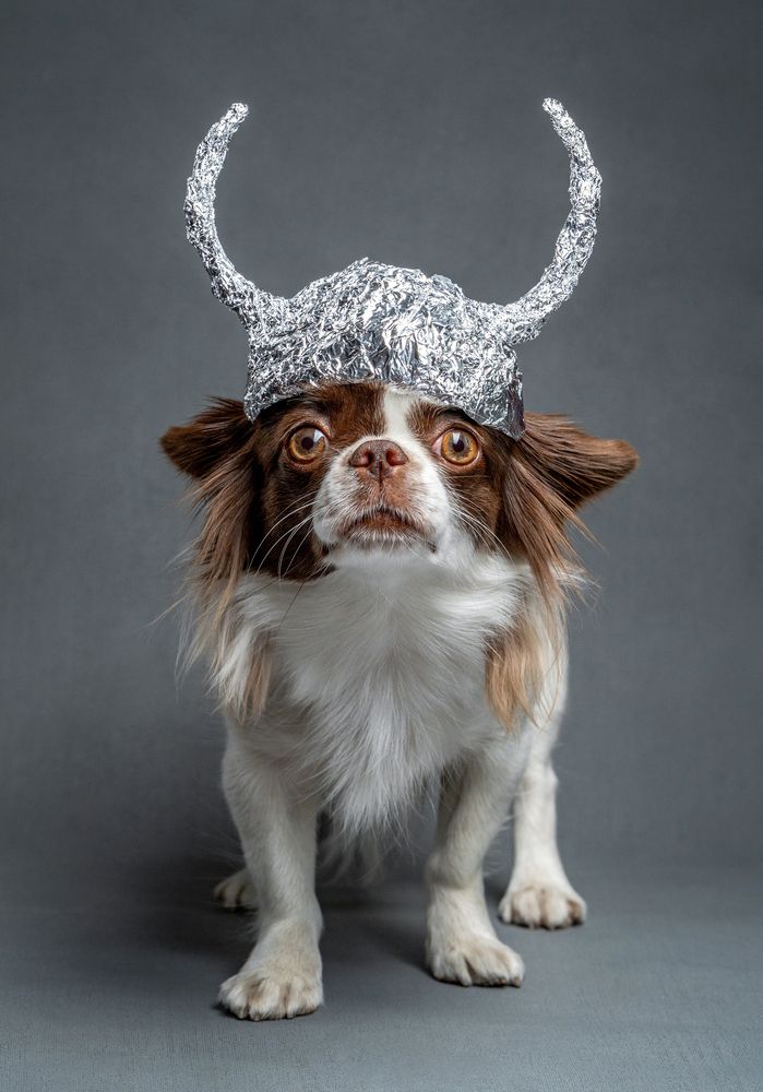 Фотография #13346961