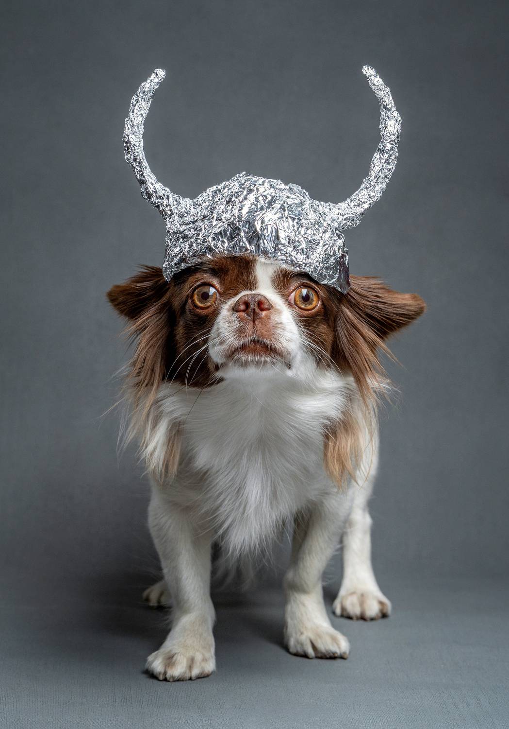 Фотография #13346961