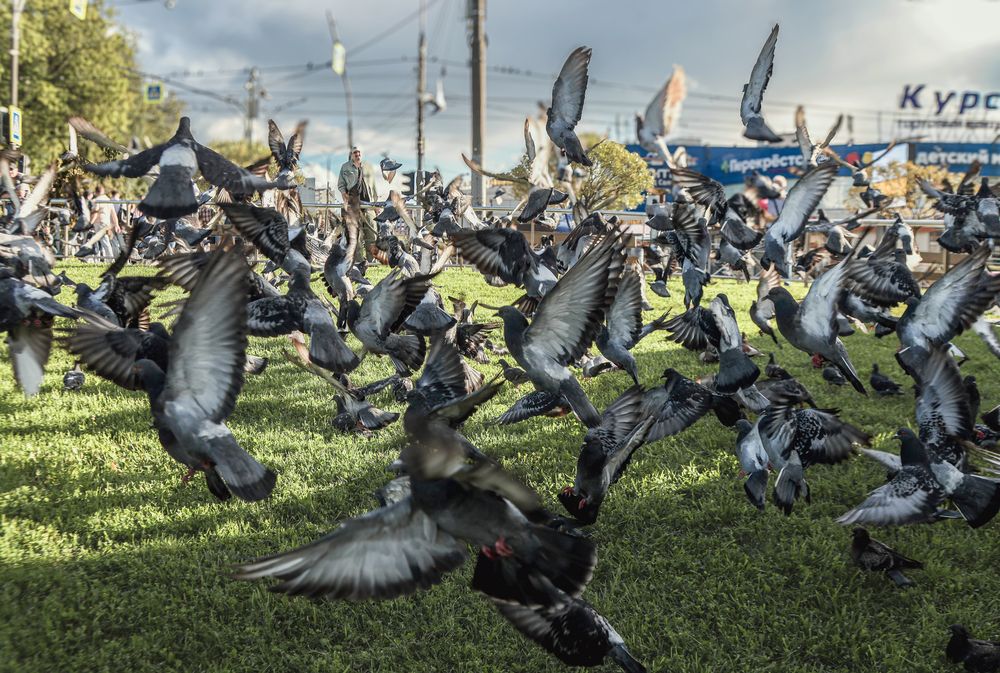Photograph by Александр Коньшин