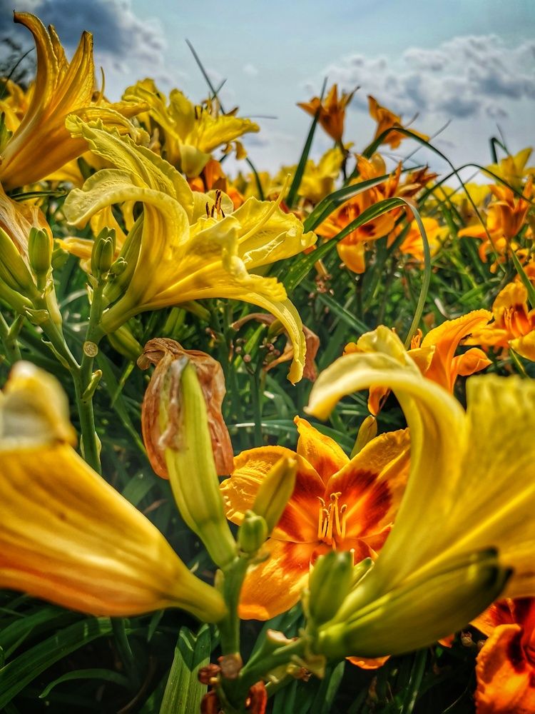 Photograph by Veremeyeva Marina