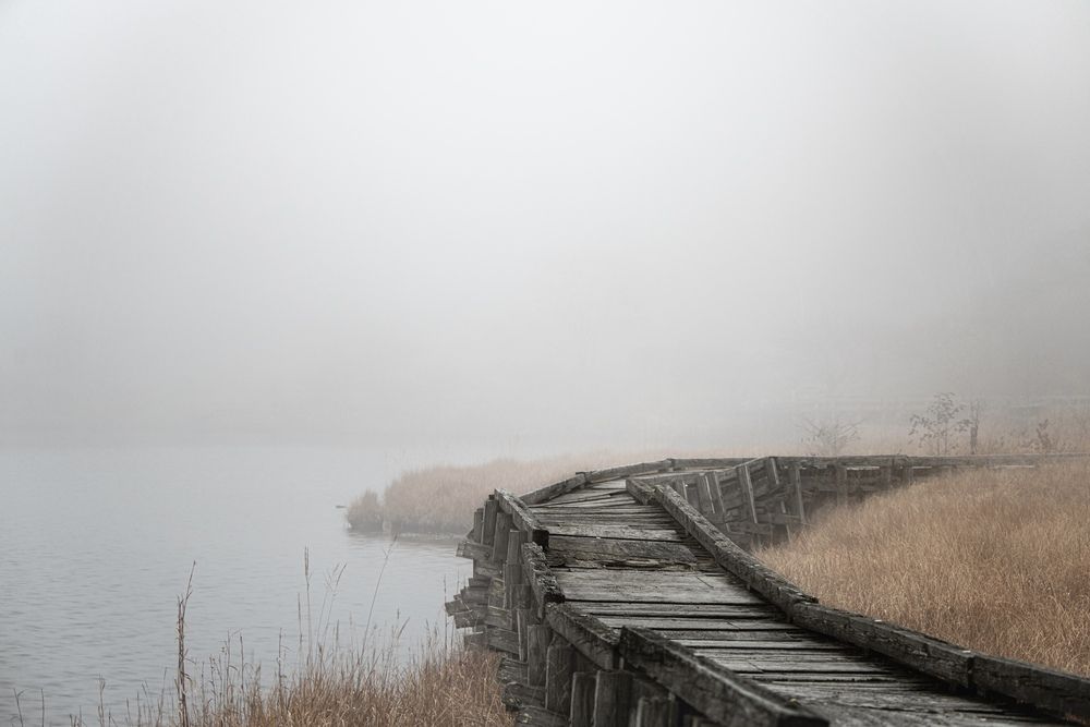 Photograph by Iwamoto Reina
