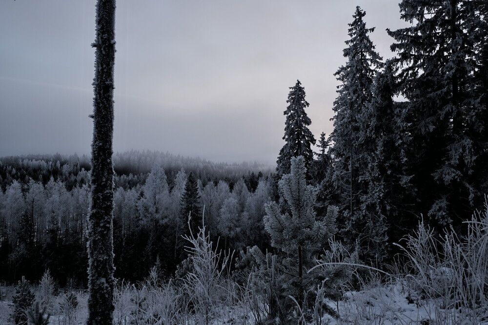 Photograph by Tuure Äikäs