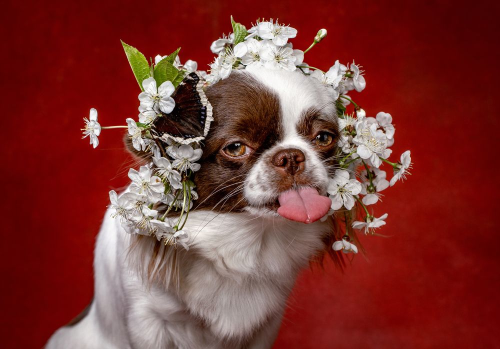 И совсем я не обиделась!