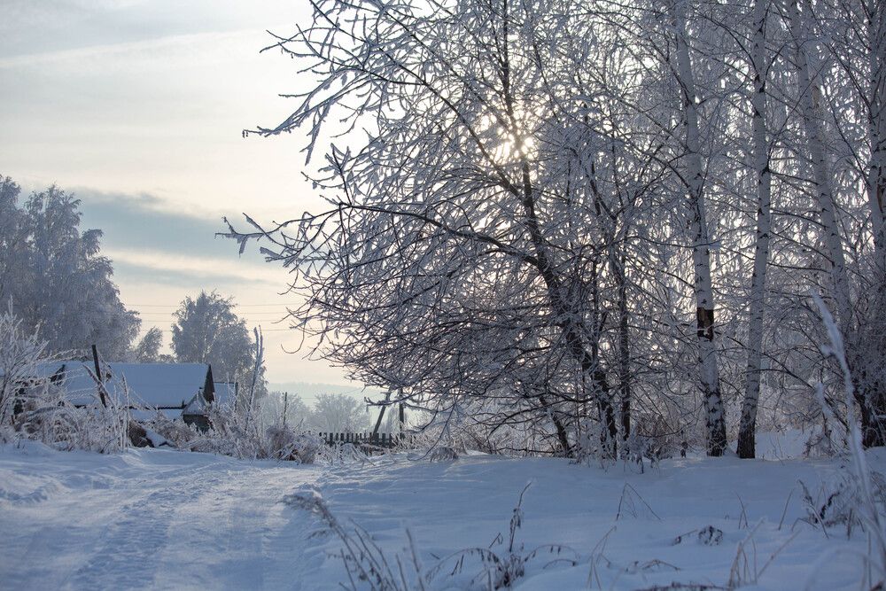 Photograph by Евгений Авдеев