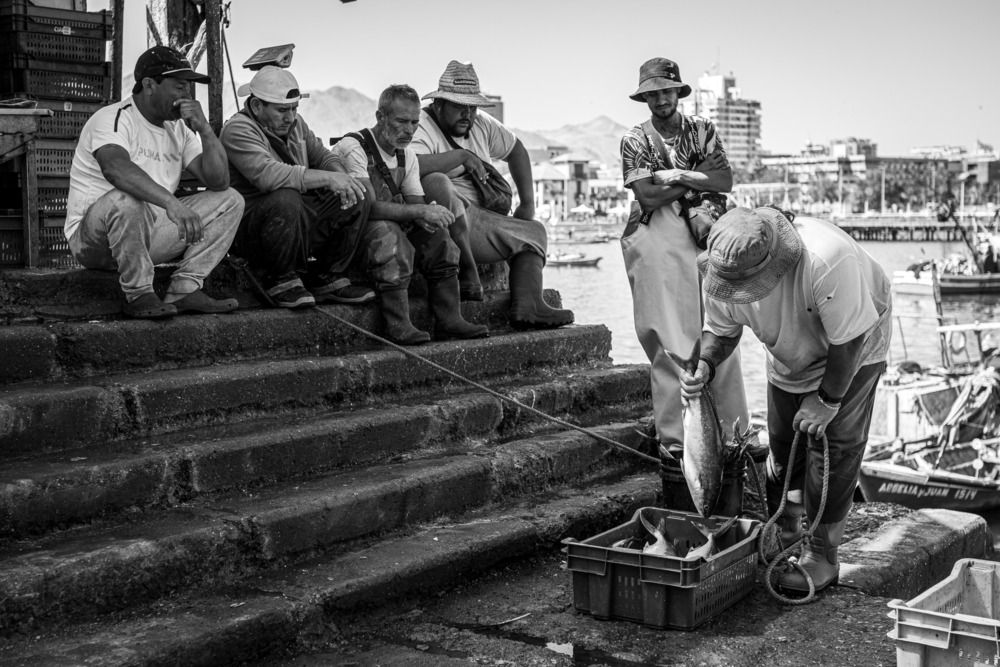 Photograph by Patricio Báez