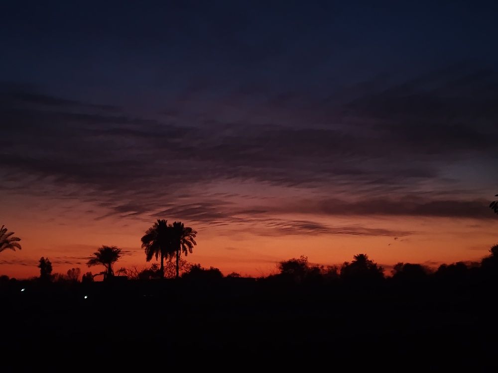 Photo #13347209