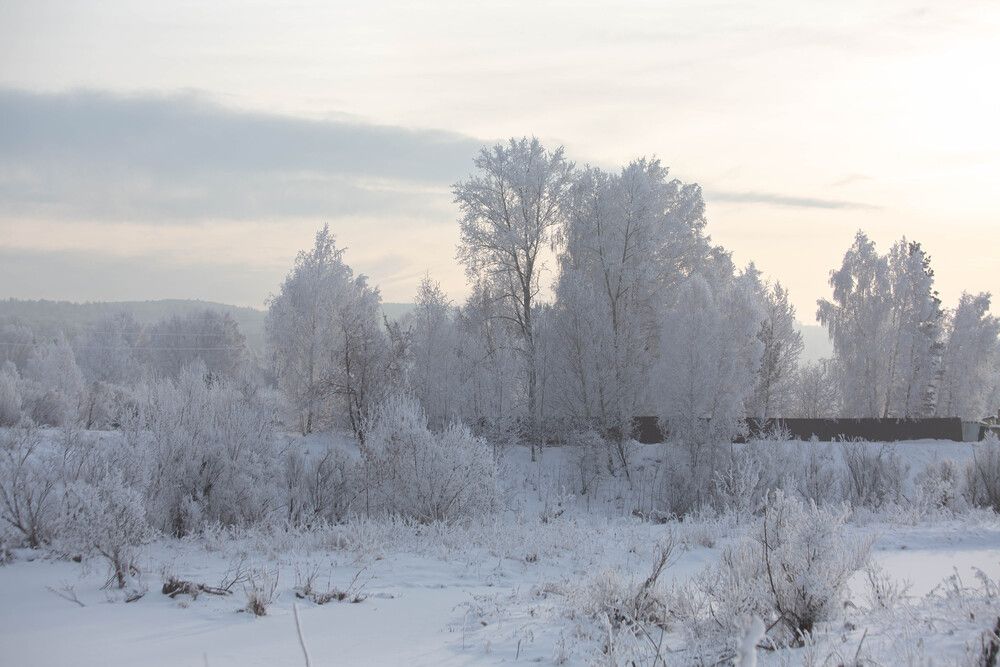 Photograph by Евгений Авдеев