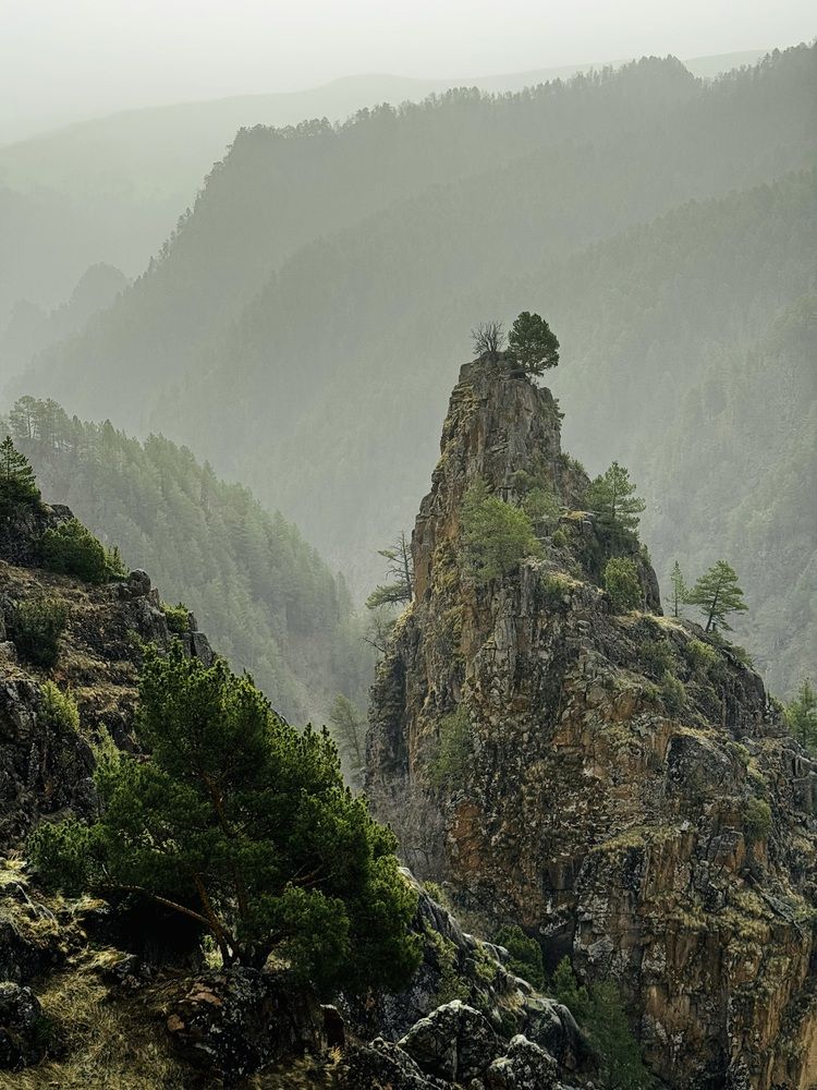 Photograph by Mariia Fedorova