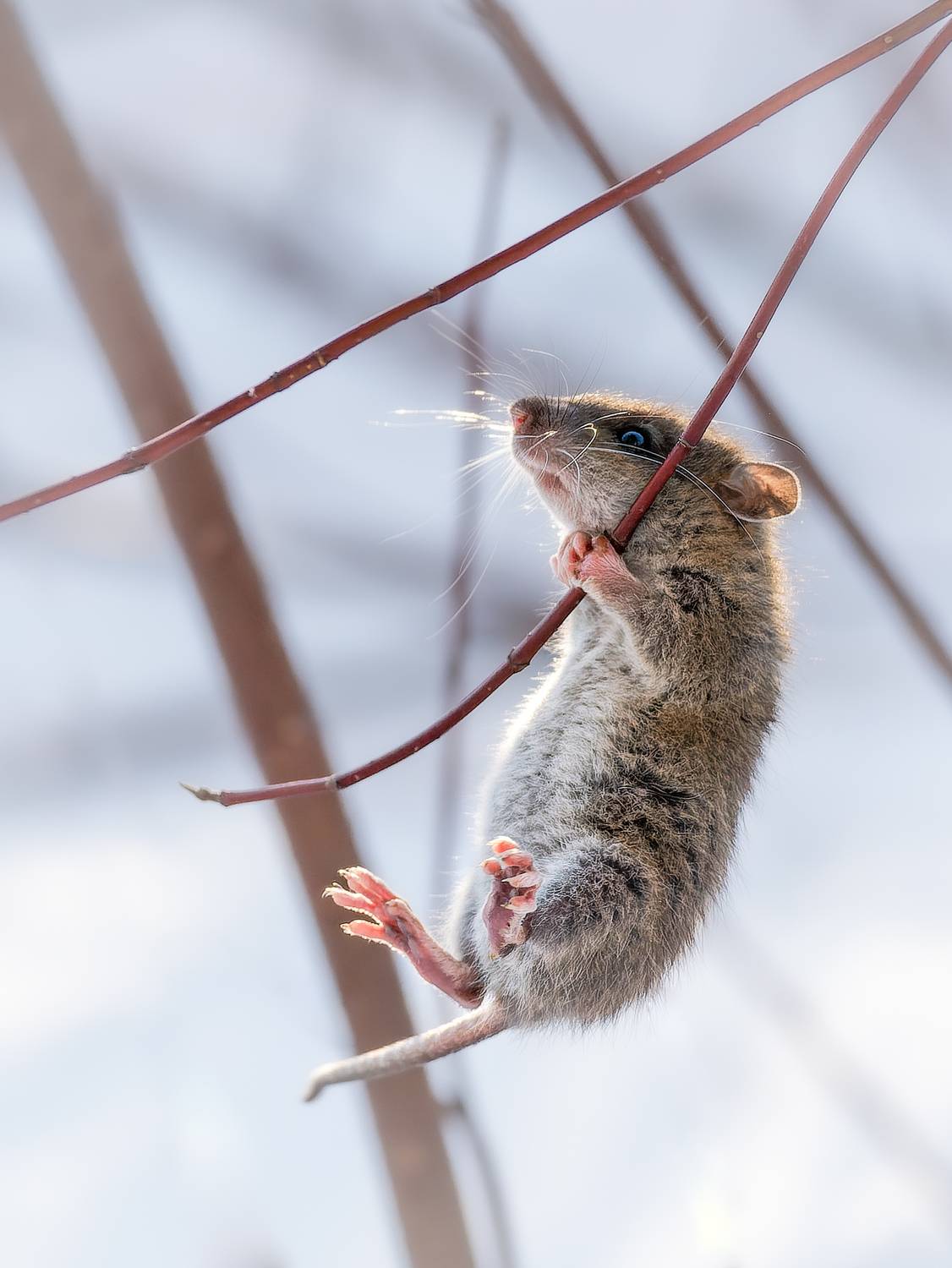 Ой, как страшно! Ой, как страшно!