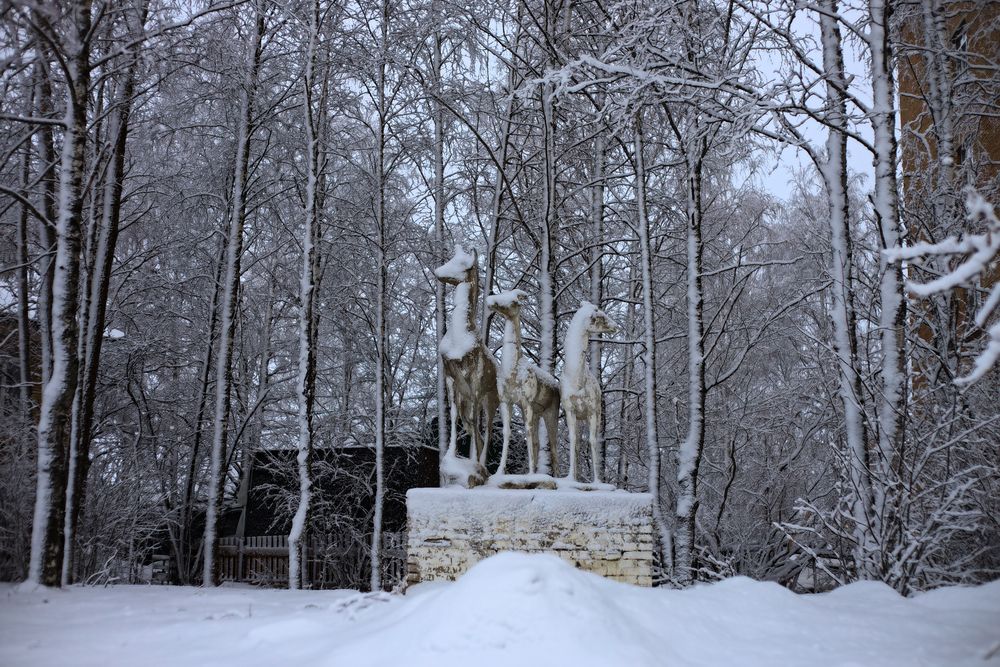 Photograph by Сергей Сухарь
