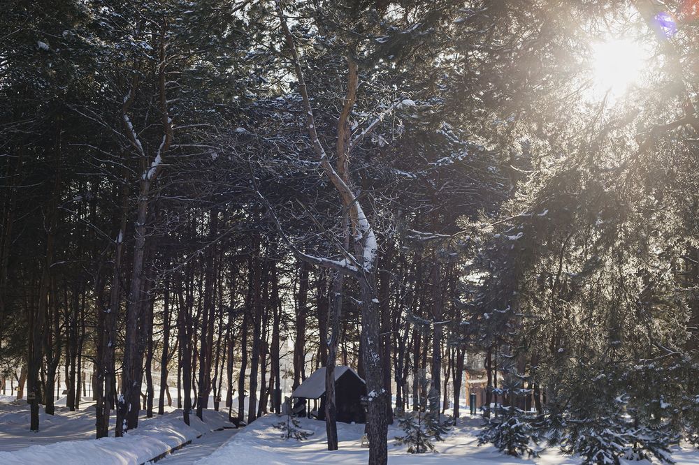 Photograph by Борис Абдуллин