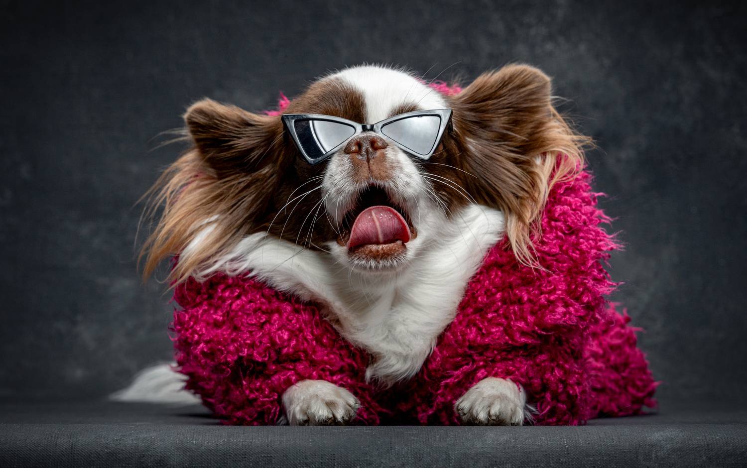 Фотография #13347453