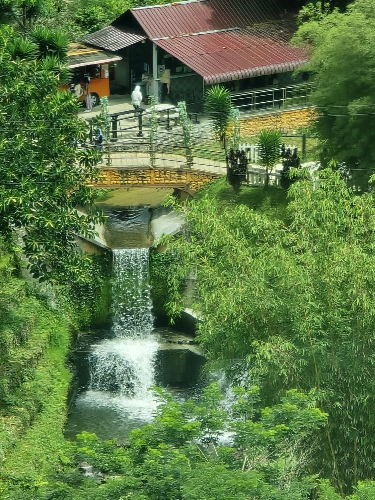 Photograph by Muhammad Azril bin Mokhtar Mokhtar