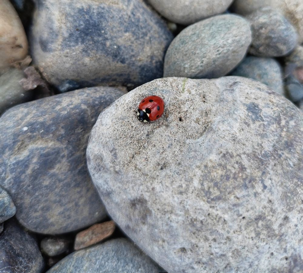 Photograph by Дарья