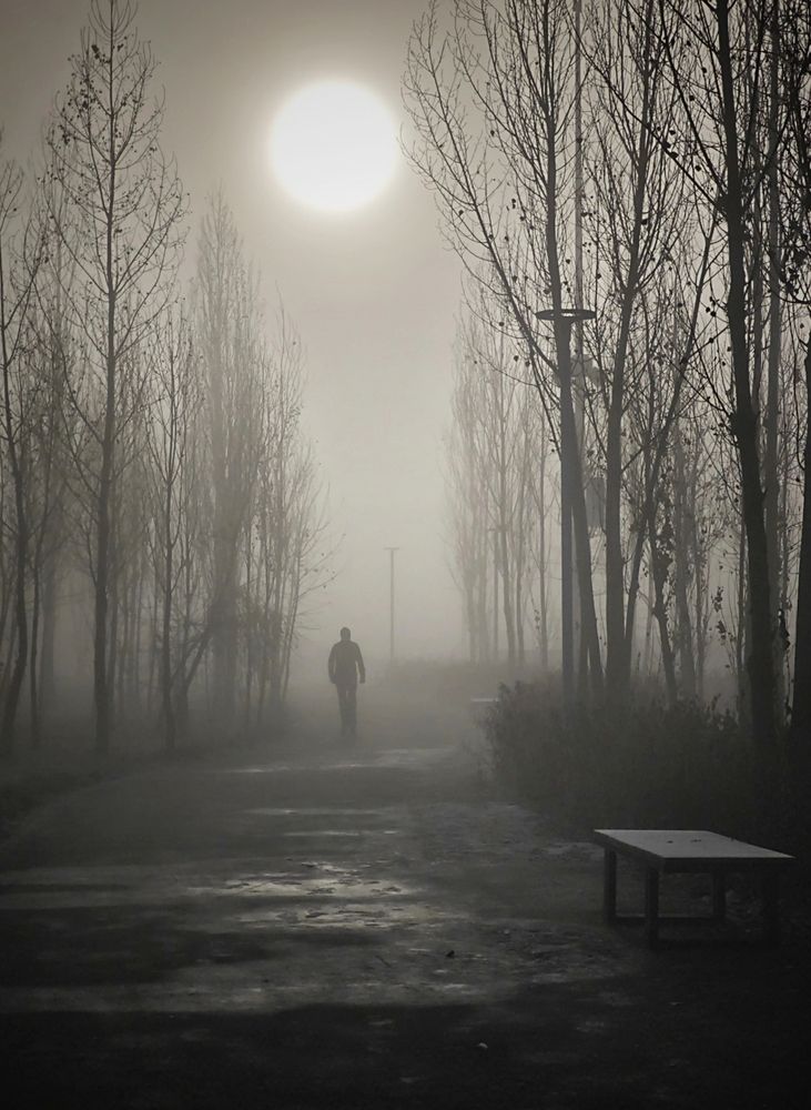 Photograph by Сергей Пермин