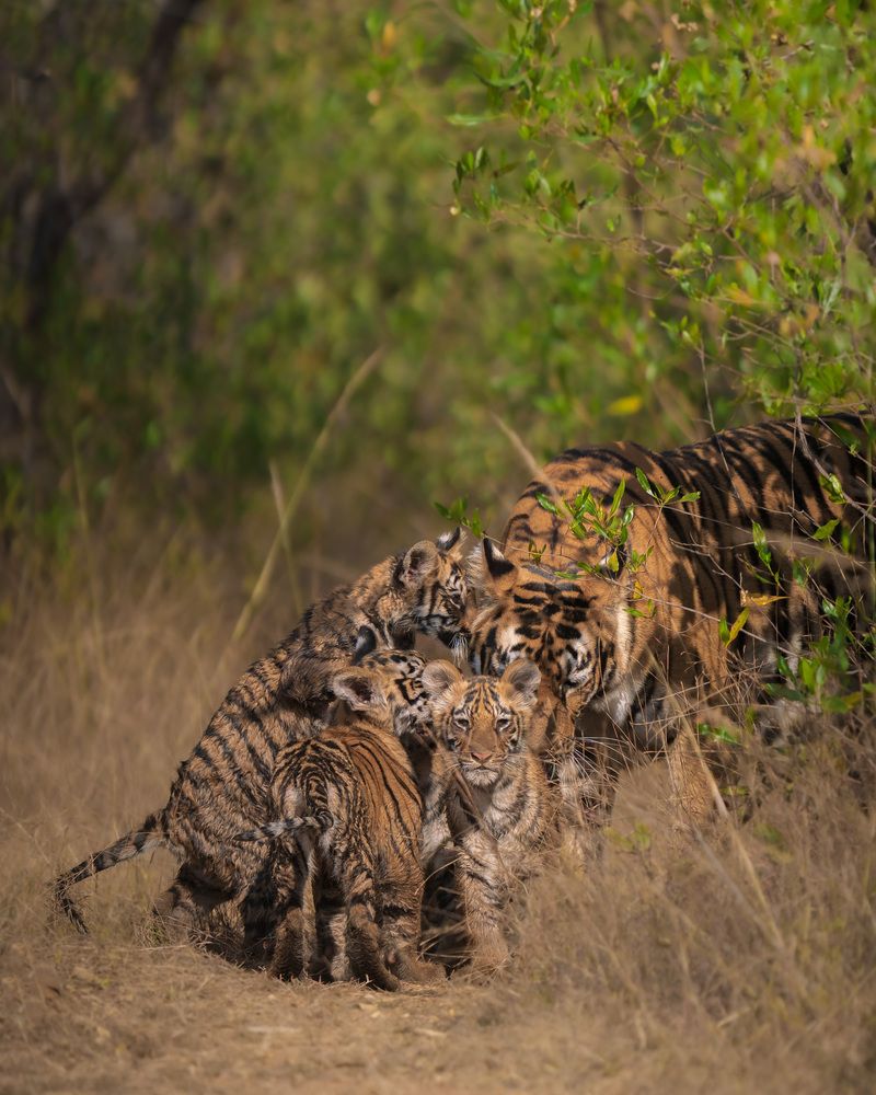 Photograph by Ayan Bhattacharya