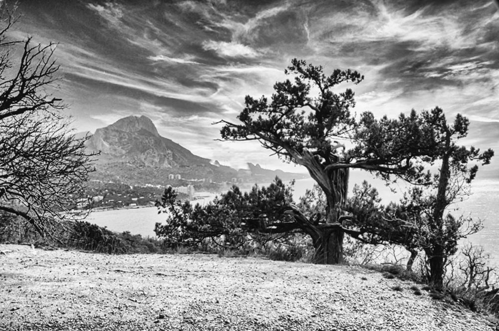 Photograph by AlexSa