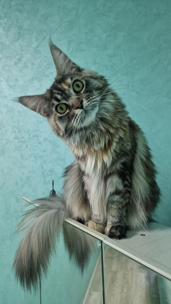 Photograph by Татьяна Поздеева
