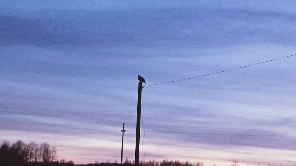Photograph by Надежда Рулькова