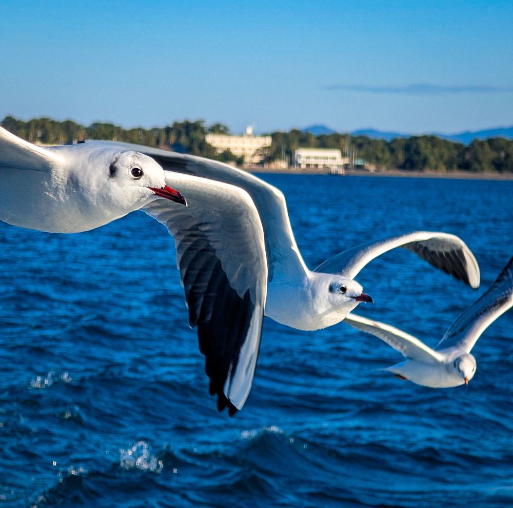 Photograph by Арыстанбек Акынов