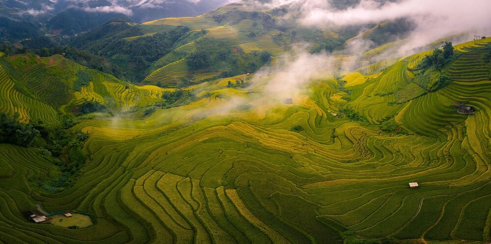 Фотография автора Minh Tú Nguyễn