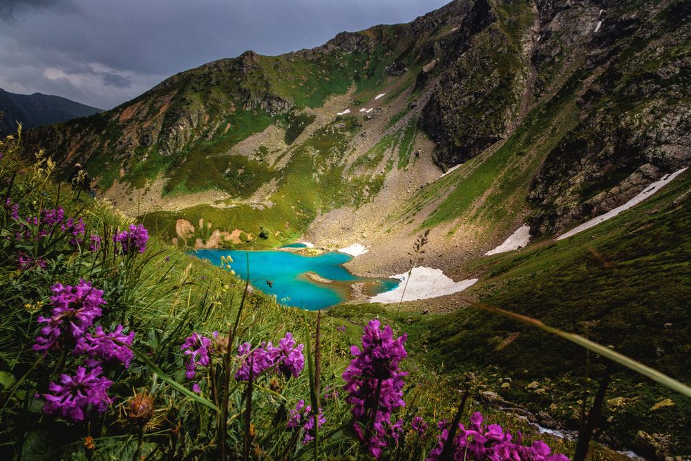 Photograph by EKATERINA WALTER