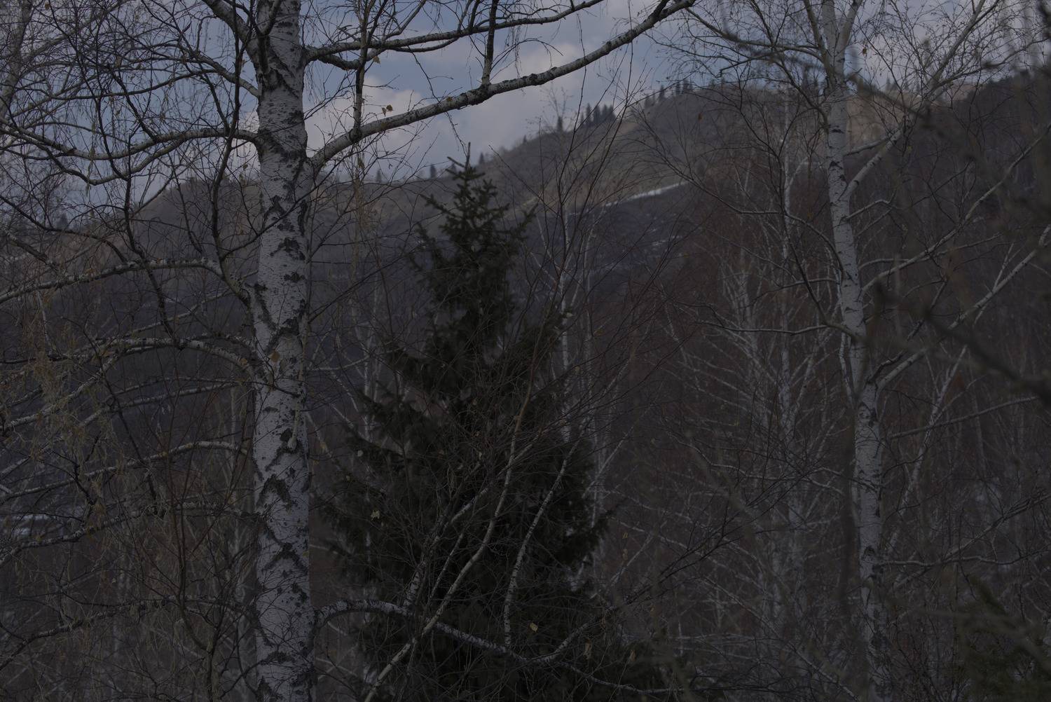 Горы Алматы