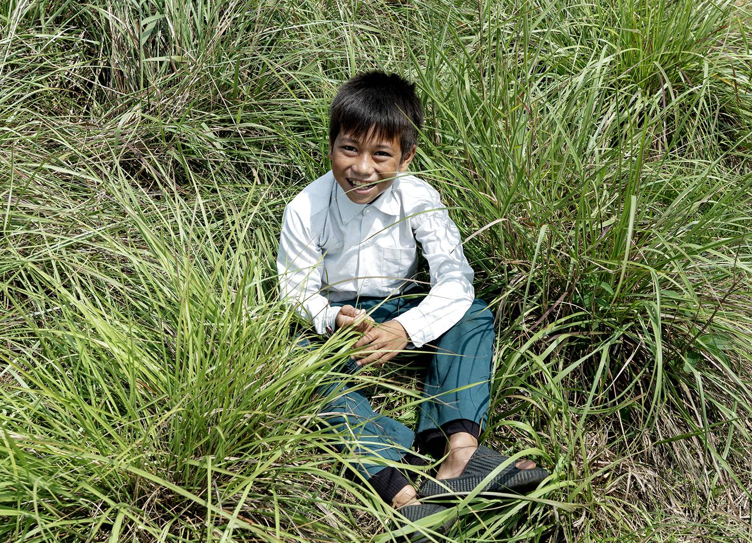 “Where Laughter Grows” “Where Laughter Grows”