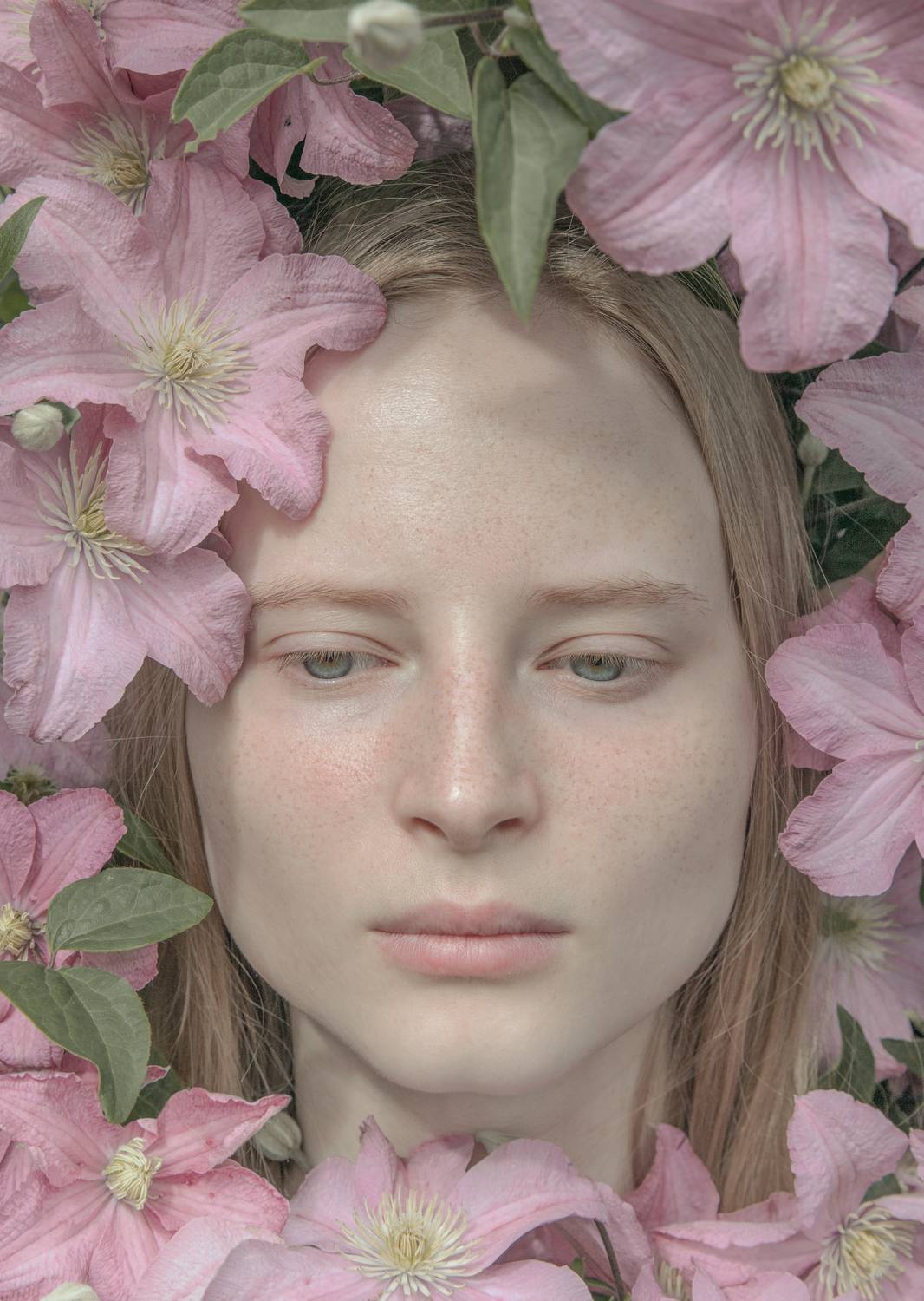 В клематисе В клематисе