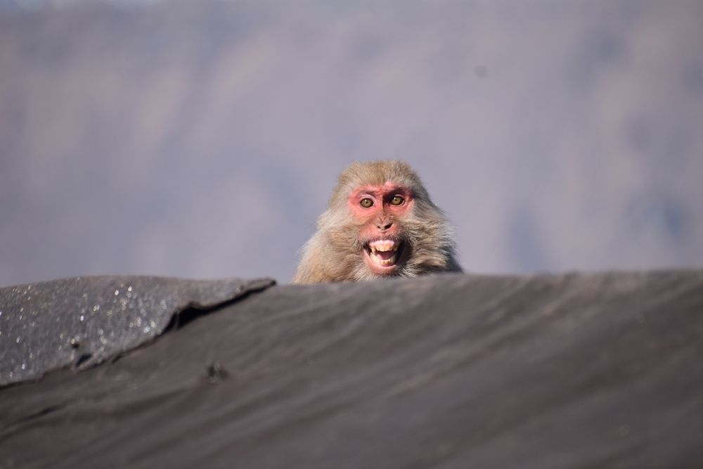 Photograph by Faixal Arshad