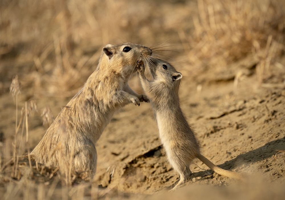 Photograph by Владимир Цветов
