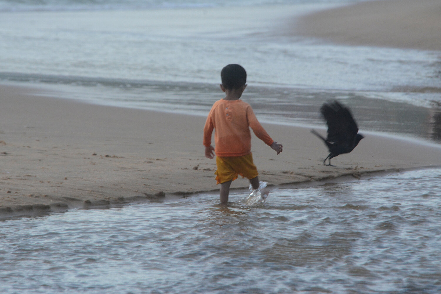 Photo #13348086