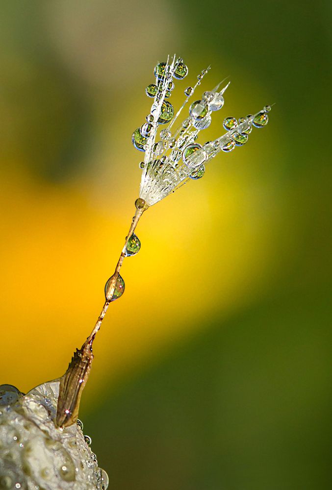 Фотография автора Andrey Pristyazhnyuk
