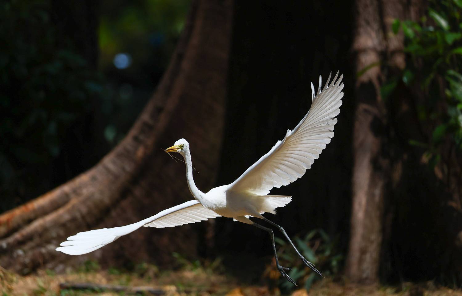 Фотография #13348122