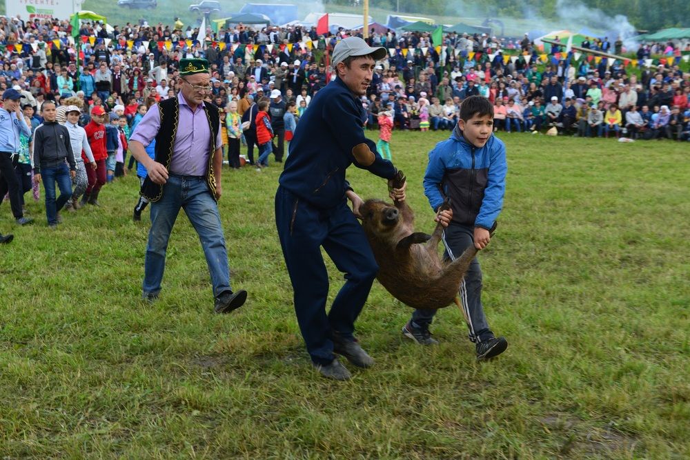 Photograph by Альфия Бикмухаметова