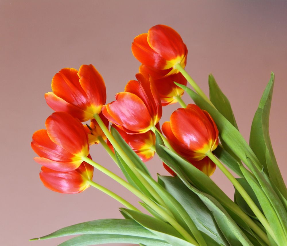 Photograph by Нина Титенкова