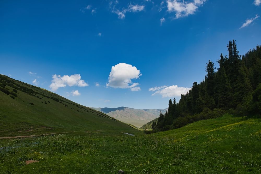 Фотография автора Михаил Ноеренчук